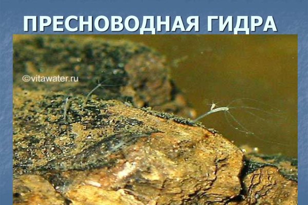 Ссылки мега кракен