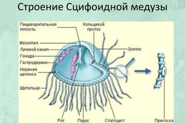 Кракен kr2web in что это